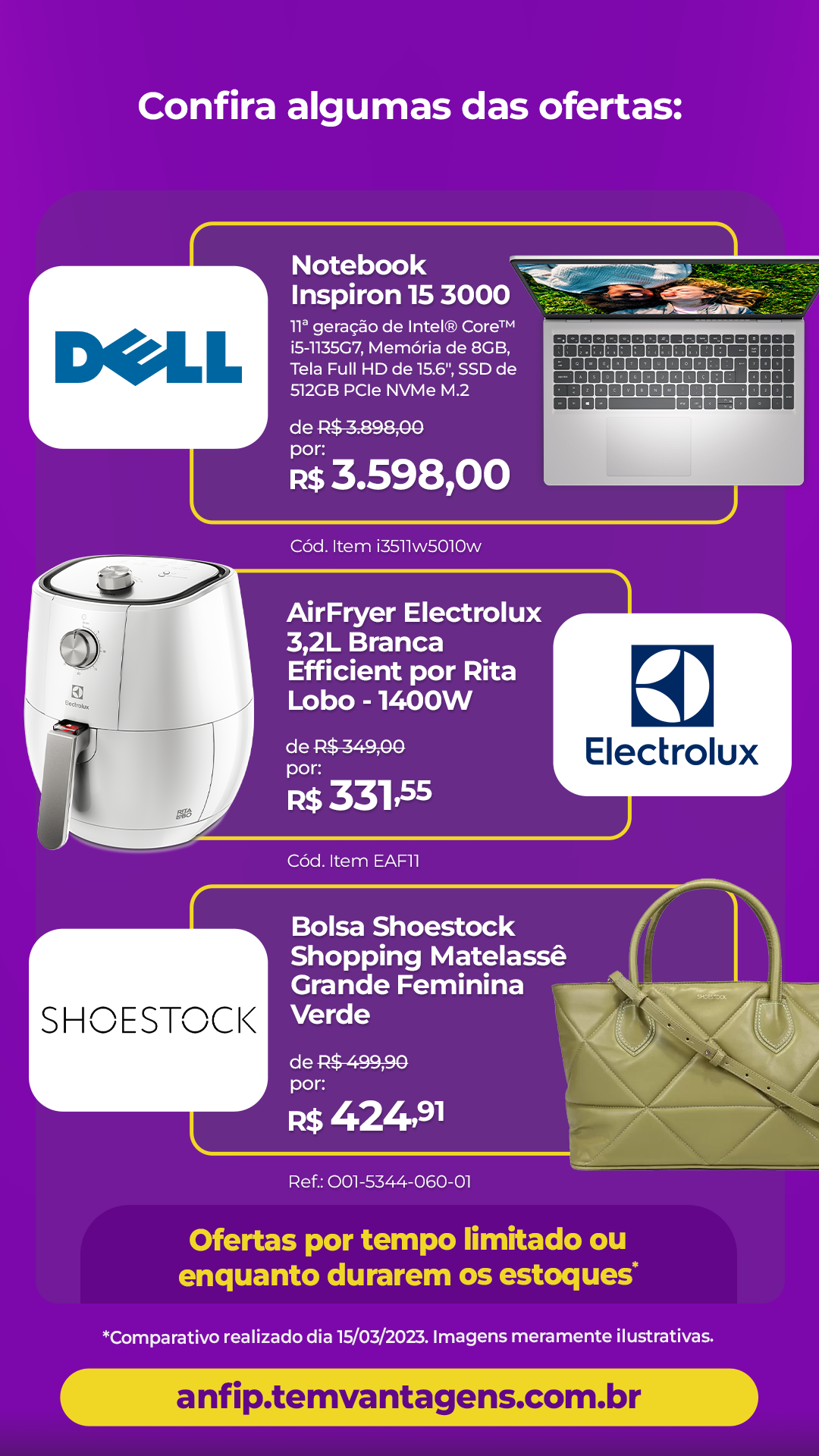 AEG Advisor FIPECAFI - Brasil