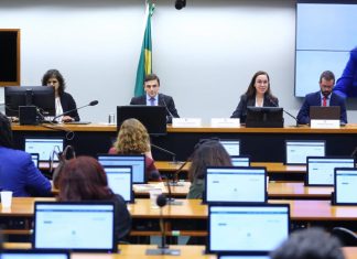 Comissão pessoa idosa - Vinicius Loures Câmara dos Deputados