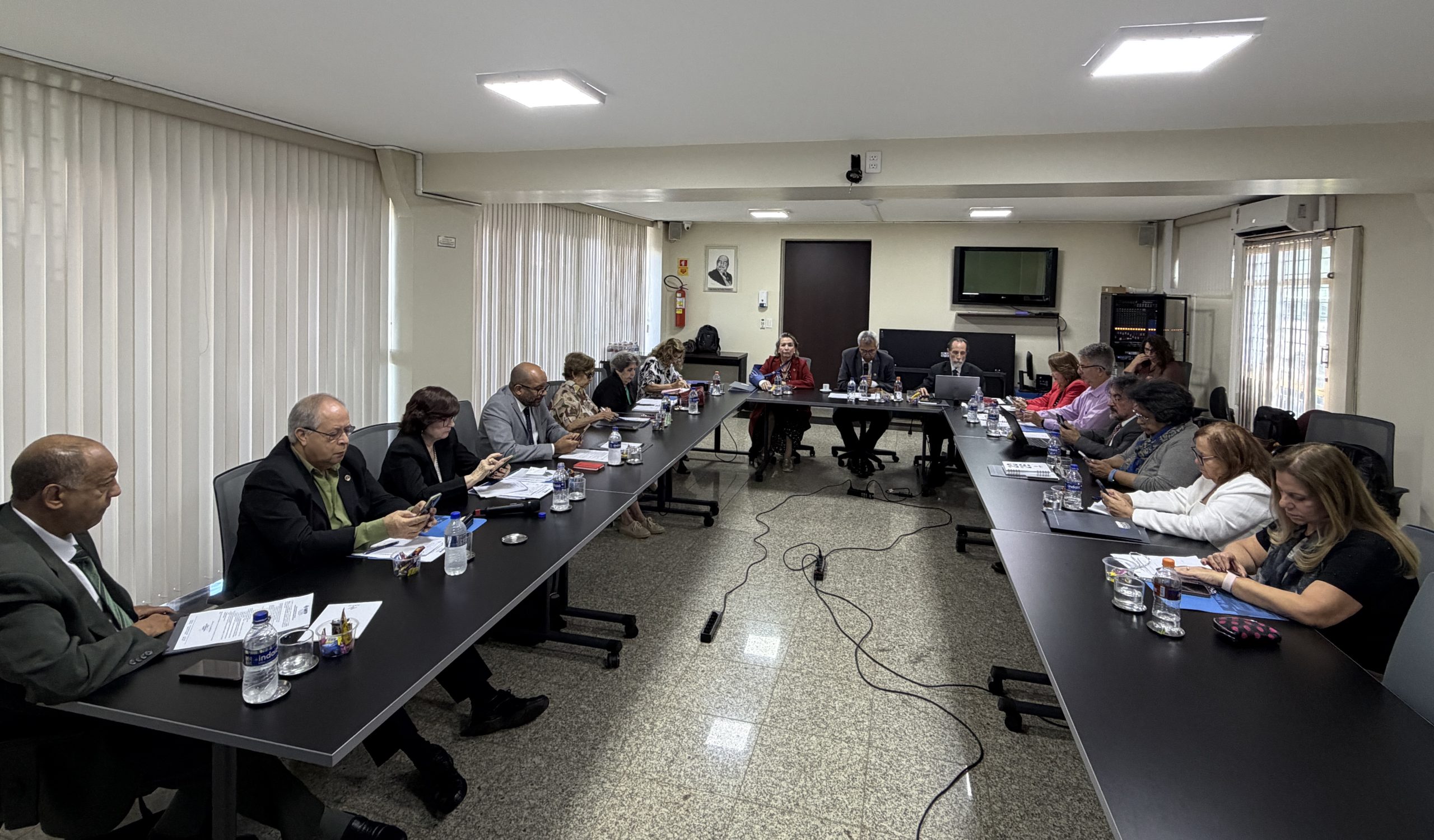 Reunião do Conselho Executivo